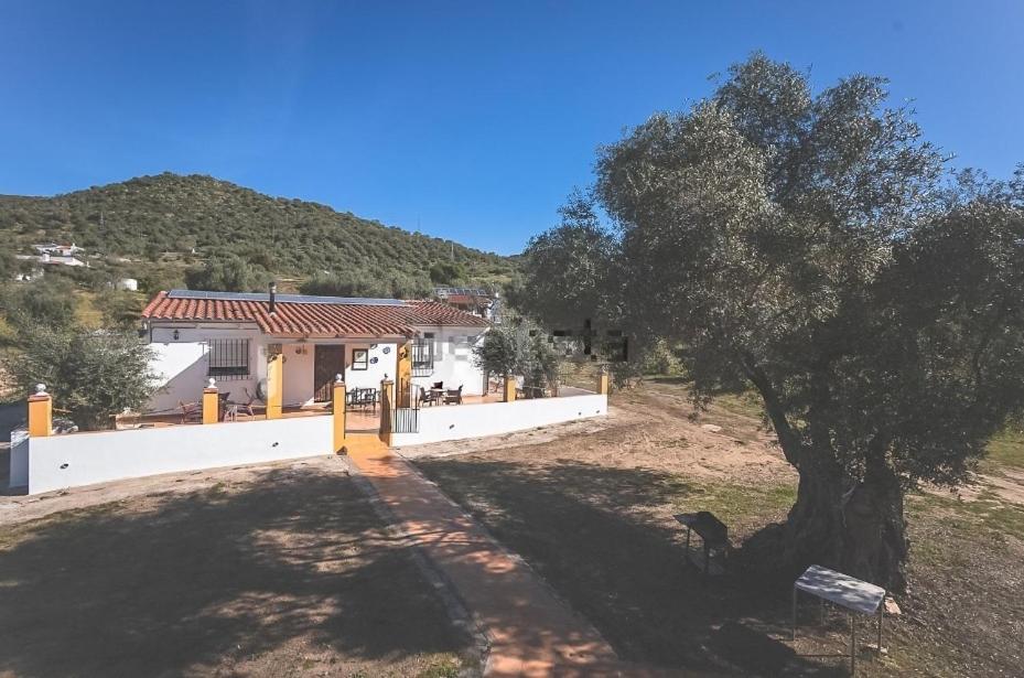 Casa Rural Los Naranjo Jerez De Los Caballeros Ngoại thất bức ảnh